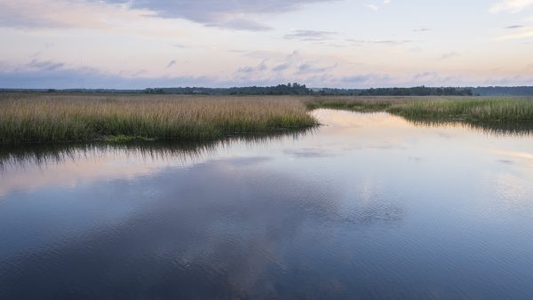 ace basin, sunrise, marsh photography, beaufort, south carolina, landscape photography