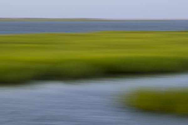 Marsh, Abstract