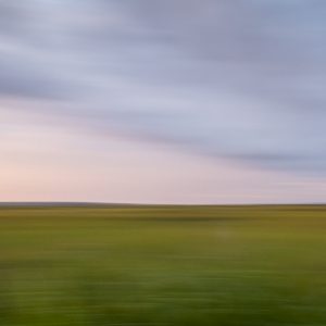 marsh, storm, sunset, green, purple, pink, ace basin, lowcountry, landscape