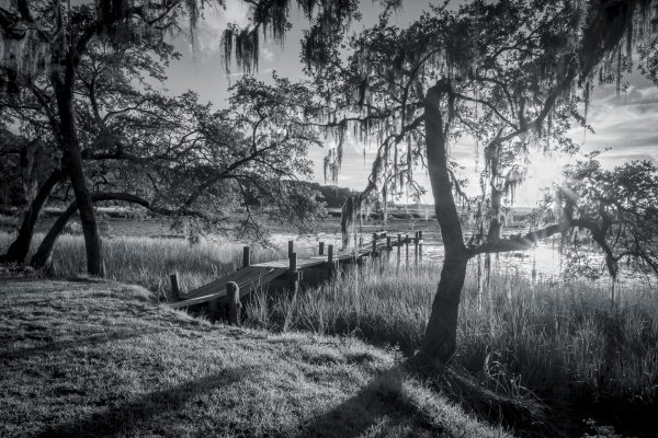 Marsh Kiss