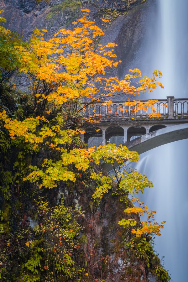 Fall in Oregon